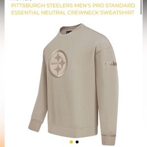 Pittsburgh Steelers Men's Pro Standard Essential Neutral Crewneck Sweatshirt